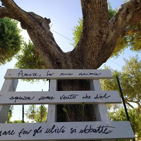 Relais Il Giardino Fra Gli Ulivi - Oasi Panoramica Vista Mare Farm stay *