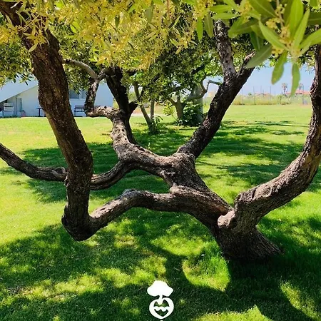 Relais Il Giardino Fra Gli Ulivi - Oasi Panoramica Vista Mare Farm stay