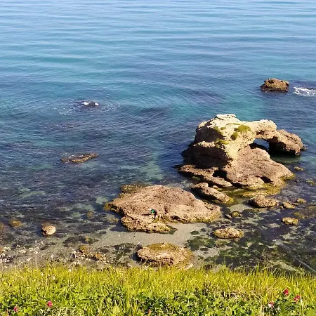 Relais Il Giardino Fra Gli Ulivi - Oasi Panoramica Vista Mare Farm stay