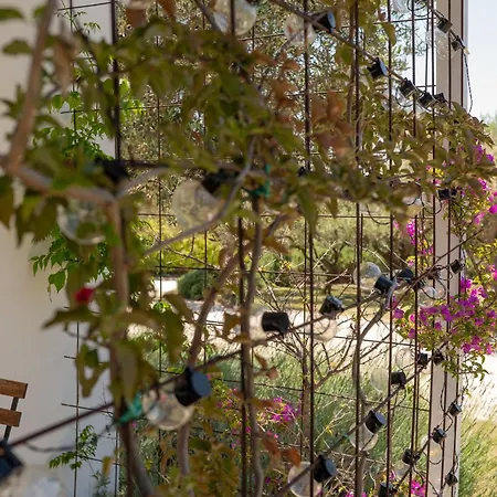 Relais Il Giardino Fra Gli Ulivi - Oasi Panoramica Vista Mare Farm stay Torino di Sangro