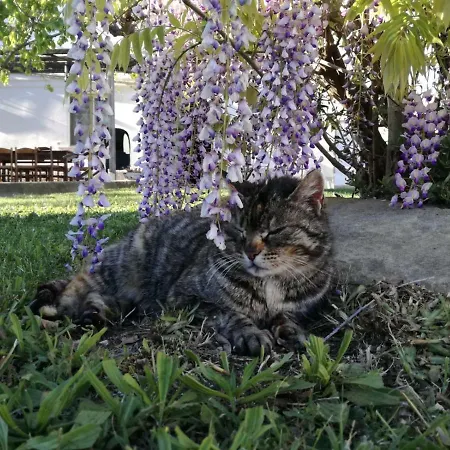 Relais Il Giardino Fra Gli Ulivi - Oasi Panoramica Vista Mare * Torino di Sangro