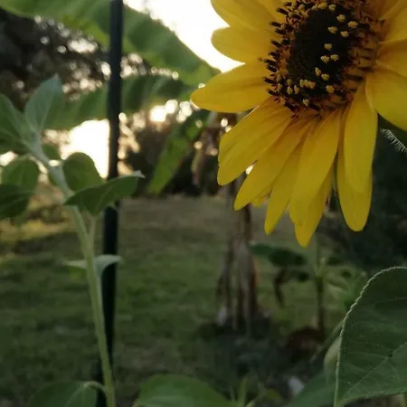 Bauernhof Relais Il Giardino Fra Gli Ulivi - Oasi Panoramica Vista Mare *