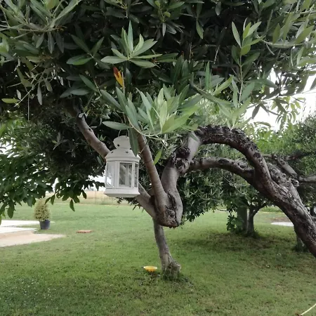 Relais Il Giardino Fra Gli Ulivi - Oasi Panoramica Vista Mare *