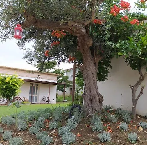 Farma Relais Il Giardino Fra Gli Ulivi - Oasi Panoramica Vista Mare *