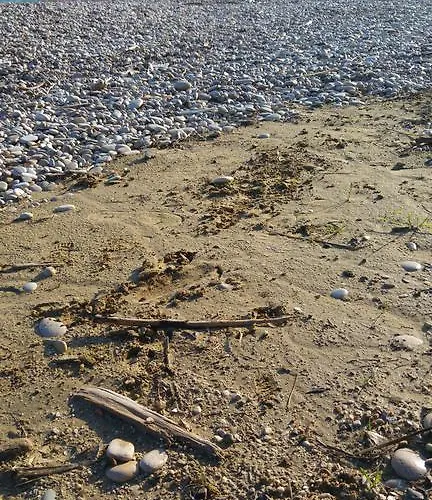 Relais Il Giardino Fra Gli Ulivi - Oasi Panoramica Vista Mare Torino di Sangro