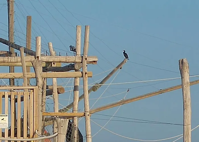 Relais Il Giardino Fra Gli Ulivi - Oasi Panoramica Vista Mare Farma