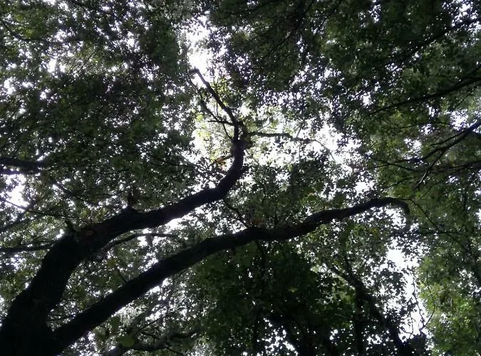 Relais Il Giardino Fra Gli Ulivi - Oasi Panoramica Vista Mare *