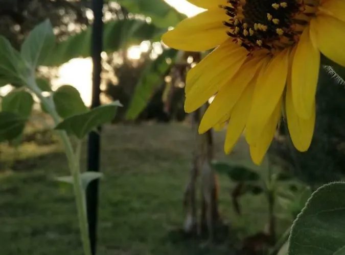 Farma Relais Il Giardino Fra Gli Ulivi - Oasi Panoramica Vista Mare *