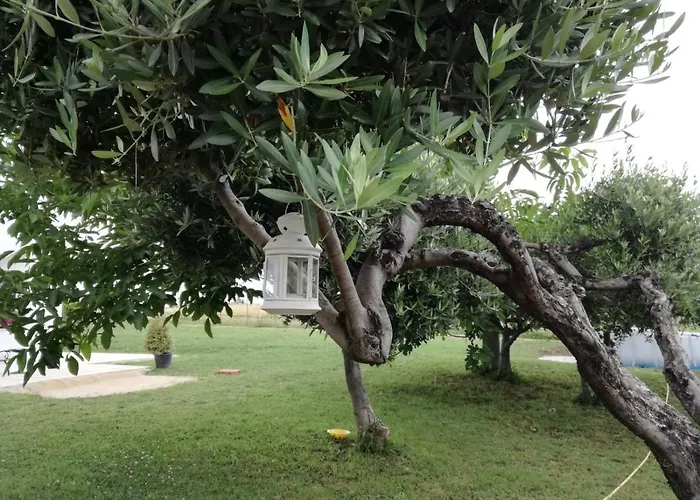 Relais Il Giardino Fra Gli Ulivi - Oasi Panoramica Vista Mare *